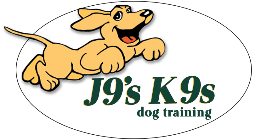 jk9 dog trainer