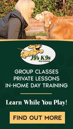 J9's K9s Dog Training Classes