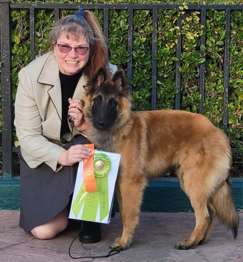 J9's K9s' Crew J9's K9s Dog Training